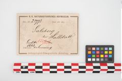 Etikett zu Bronzebuckelarmreif (NHMW-PRAE-025773)